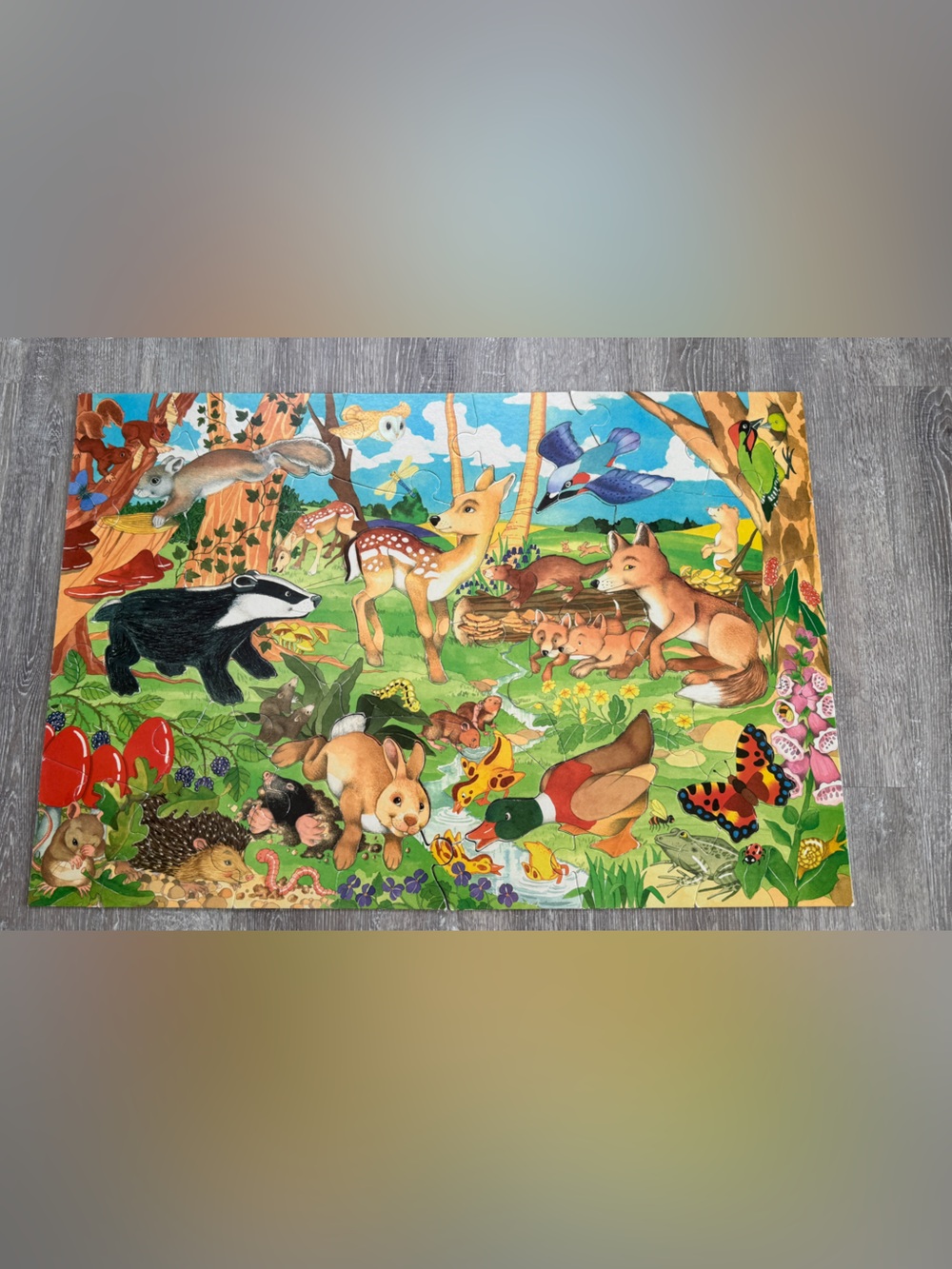 Vintage GALT giant floor puzzle
Woodland creatures